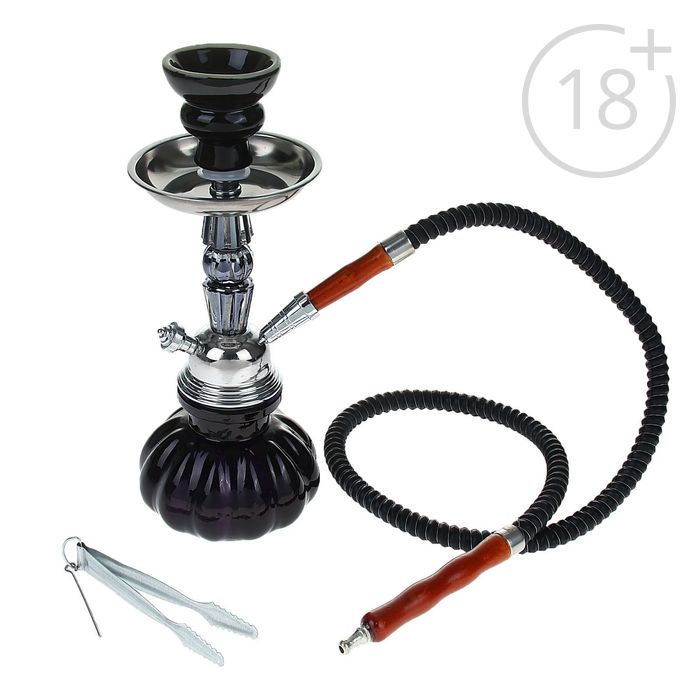 Кальян "Черника", 24 см, 1 трубка, колба-тыква тёмно-сиреневая, шахта чёрно-синий хром