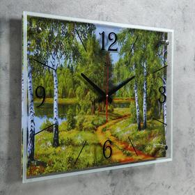 

Часы настенные, серия: Природа, "Лесная дорога", 40х56 см, микс