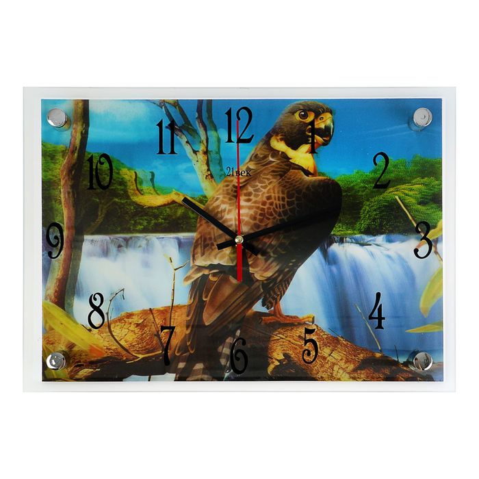 Часы настенные прямоугольные "Орел", 3D, 25х35 см микс