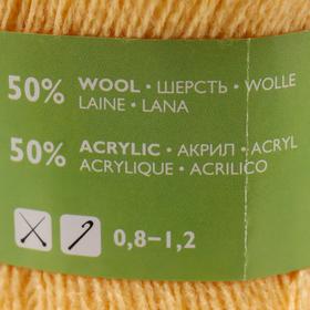 

Пряжа A-elita (Аэлита) 50% шерсть, 50% акрил 781м/100гр (772 шампанск.)