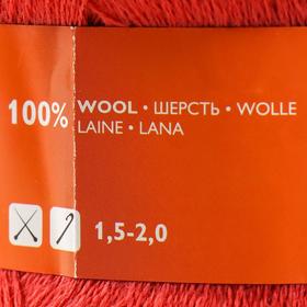 

Пряжа LidiyaWool (ЛидияЧШ) 100% шерсть 1613м/100гр (90021 т.коралл_v2)