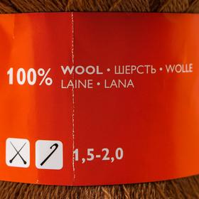 

Пряжа LidiyaWool (ЛидияЧШ) 100% шерсть 1613м/100гр (90016 бежев_v2)