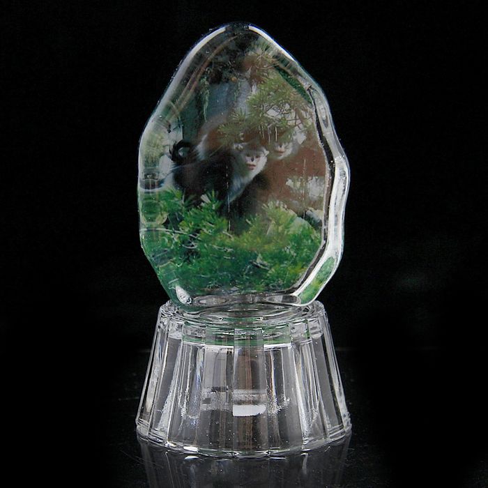 Сувенир световой "Мартышка" МИКС