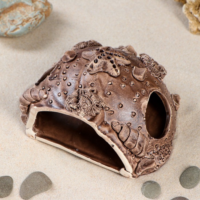 Декорации для аквариума "Губка с морской звездой"