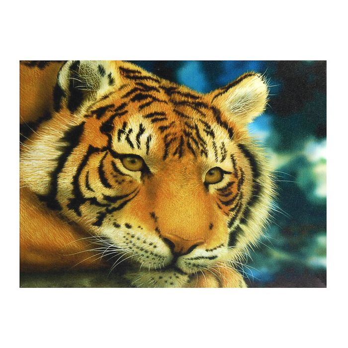 Картина на холсте с подрамником "Тигр"