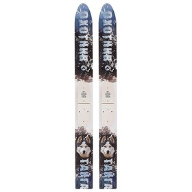 Лыжи деревянные «Тайга», 155 см, цвета МИКС от Сима-ленд