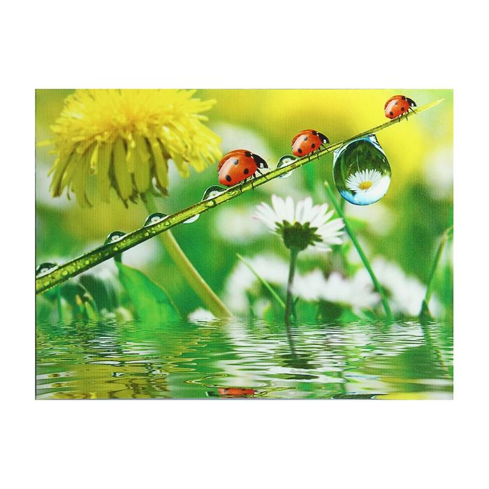 Картина на подрамнике "Божьи коровки"