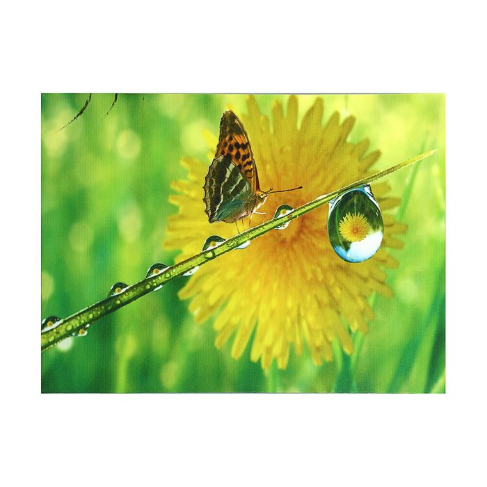 Картина на подрамнике "Бабочка"