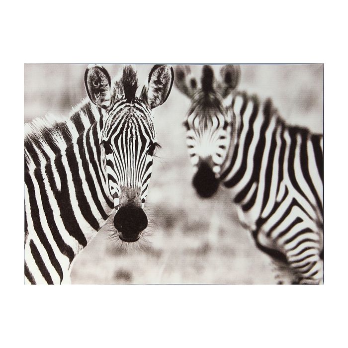 Картина на подрамнике "Зебры"