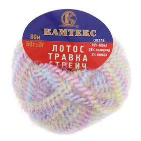 

Пряжа "Лотос травка стрейч" 70% акрил, 28% полиамид, 2% лайкра 80м/50гр (238 разн 2)