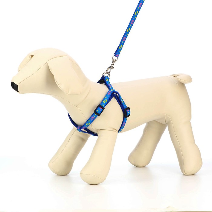 Комплект прошитый "Цветные лапки", ширина 1 см, поводок 120 см, шлейка 20-30 см, синий