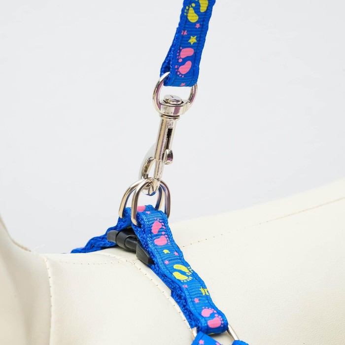 Комплект прошитый "Цветные лапки", ширина 1 см, поводок 120 см, шлейка 20-30 см, синий