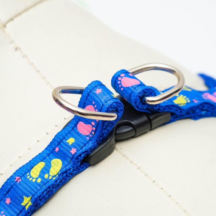 Комплект прошитый "Цветные лапки", ширина 1 см, поводок 120 см, шлейка 20-30 см, синий