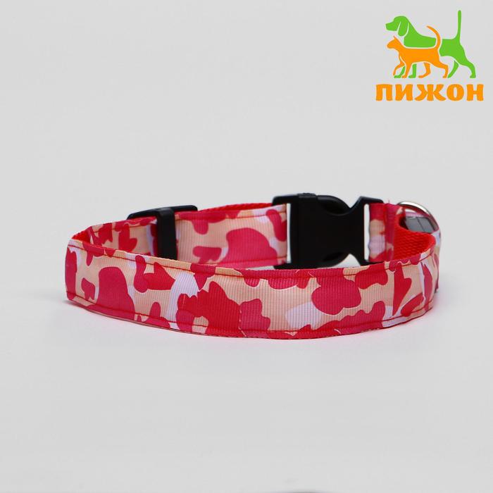 Ошейник с подсветкой "Милитари", 3 режима свечения, L, 40-58 х 2,5 см, микс цветов