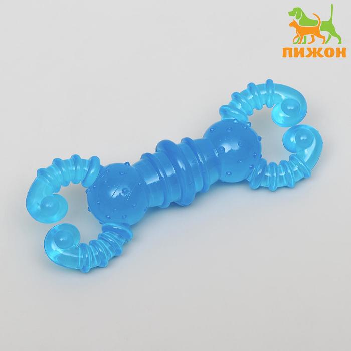 Игрушка жевательная "Краб", прозрачная, PP, 12 см, микс цветов