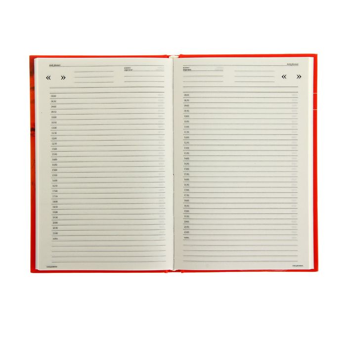 Ежедневник недатированный А5, 128 листов, "Россия", глянцевая ламинация, линия