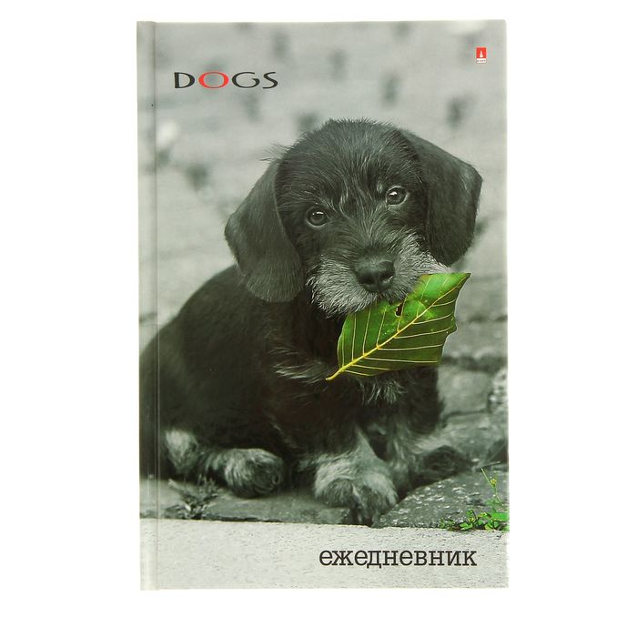 Ежедневник недатированный А5, 128 листов, "Чудо Щеночек", глянцевая ламинация, линия
