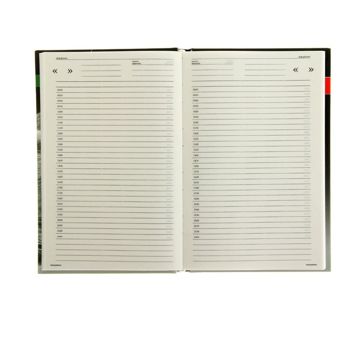 Ежедневник недатированный А5, 128 листов, "Кошка", глянцевая ламинация, линия