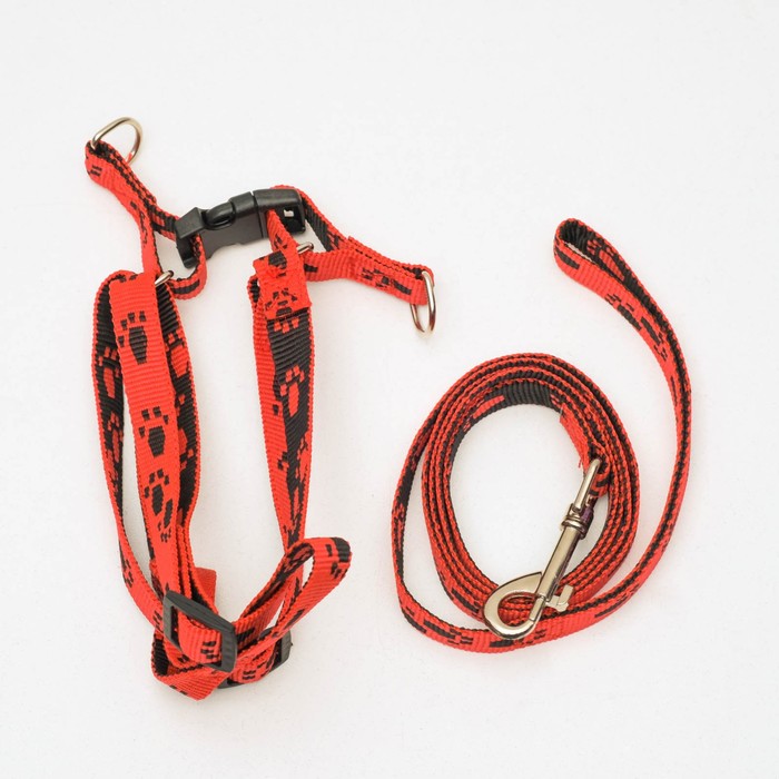 Комплект "Большая лапа", поводок 120 х 1,5 см, шлейка 28-42 х 1,5 см, микс цветов