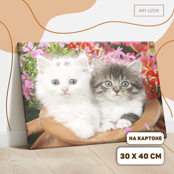 Роспись по номерам без подрамника "Котята", 30 х 40 см