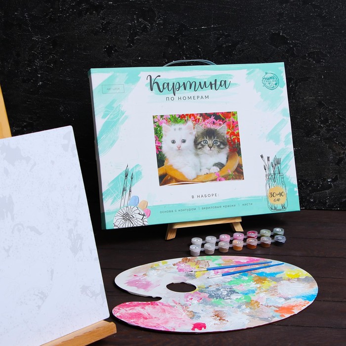 Роспись по номерам без подрамника "Котята", 30 х 40 см