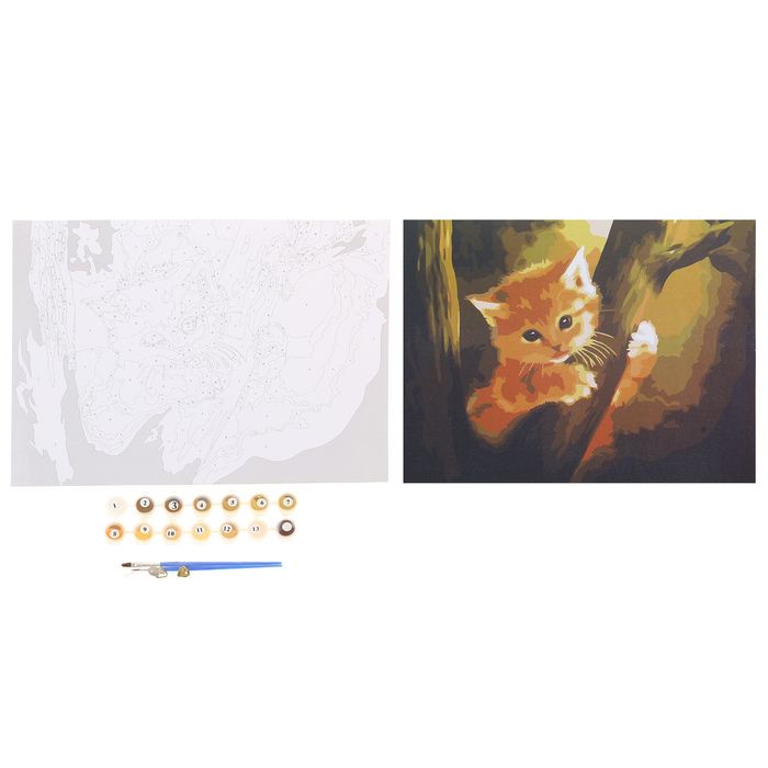 Роспись по номерам без подрамника "Котёнок", 40 х 30 см