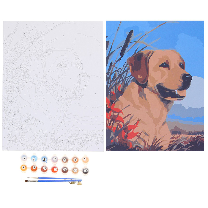 Роспись по номерам без подрамника "Ретривер", 30 х 40 см