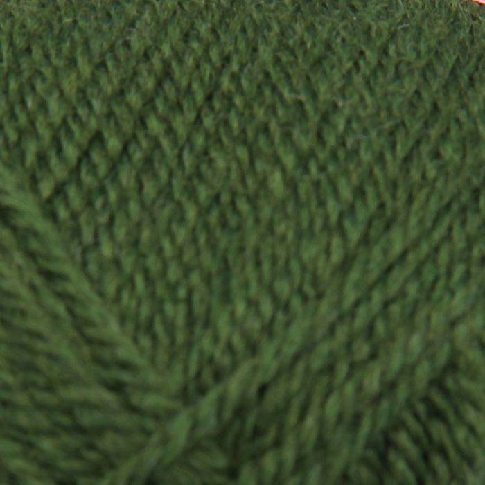 Пряжа "Чистая шерсть" 100% шерсть 250м/100гр (1385, морские водоросли)