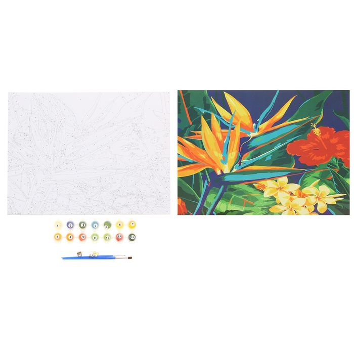 Роспись по номерам без подрамника "Цветы", 40 х 30 см