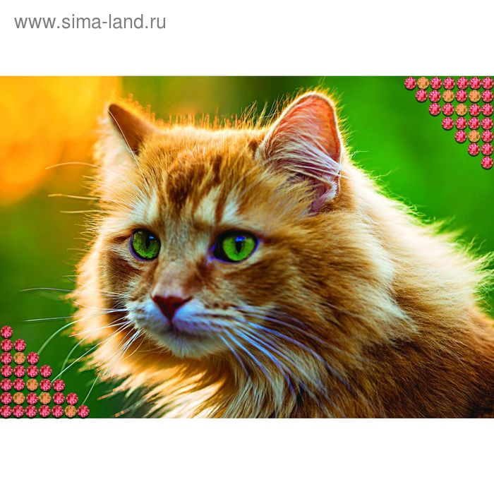 Алмазная картина рыжий кот