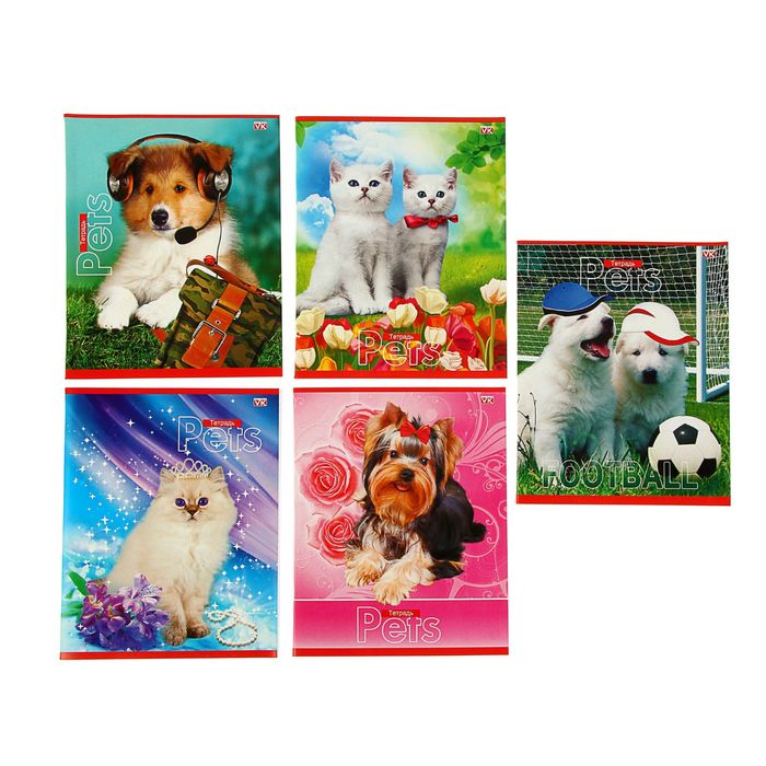 Тетрадь 48 листов клетка "Любимцы", картонная обложка, 5 видов МИКС