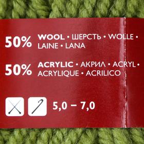 

Пряжа Arina (АринаПШ) 50% шерсть, 50% акрил 123м/100гр (10 фисташк)