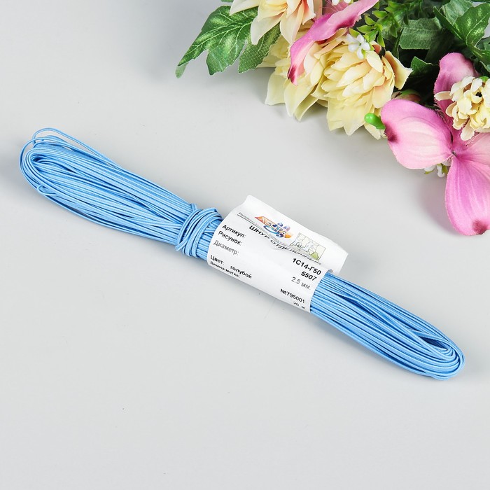 Тесьма отделочная "Сутаж", ширина 2,5мм, длина 20±1м, цвет голубой