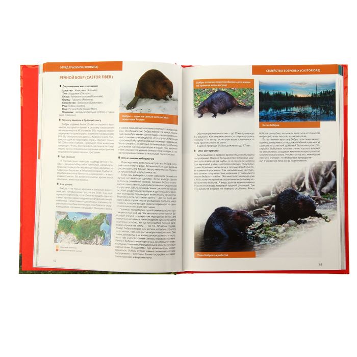 Красная книга России. 2-е изд. Автор: Скалдина О.В.