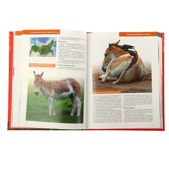 Красная книга России. 2-е изд. Автор: Скалдина О.В.