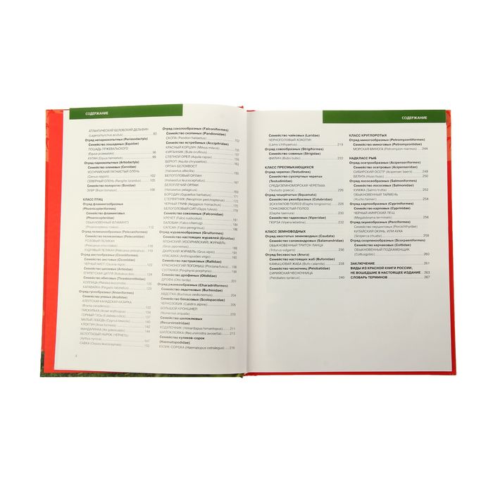 Красная книга России. 2-е изд. Автор: Скалдина О.В.