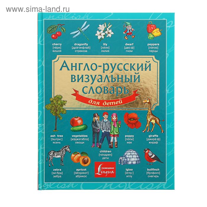 Англо-русский визуальный словарь для детей ушакова о англо русский словарик