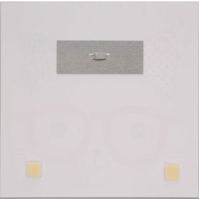 

Картина на стекле "Собачка и котик" 30*30см