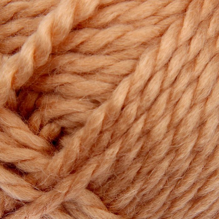 Пряжа "Мелодия" 50% шерсть, 50% акрил 100м/100гр (0192, песочный)