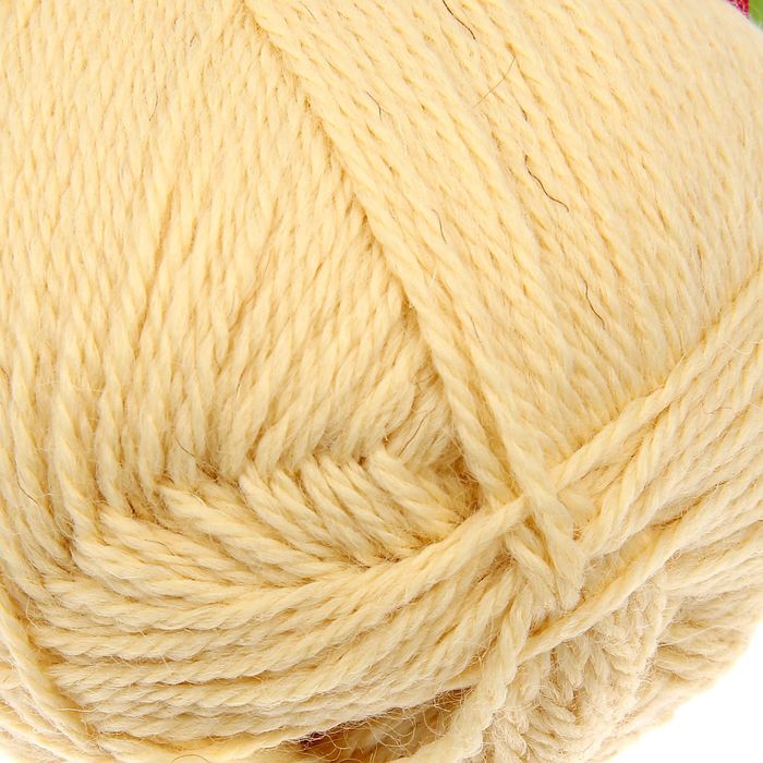 Пряжа "Алиса" 50% шерсть, 50% вискоза 300м/100гр (1082, шампанское)