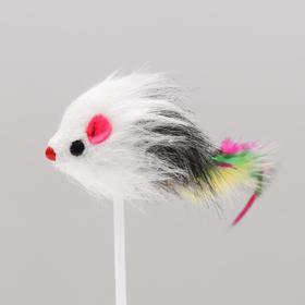 Дразнилка "Мышь на присоске", искусственный мех с перьями, 20 см, микс цветов от Сима-ленд
