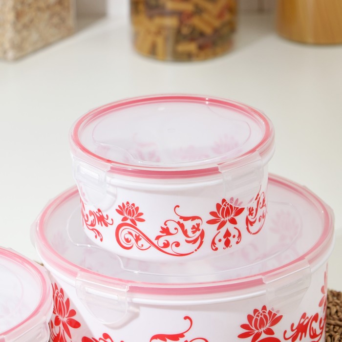 Набор ланч-боксов круглых "Веточка", 4 шт: 0,25 л, 0,55 л, 1,05 л, 1,8 л