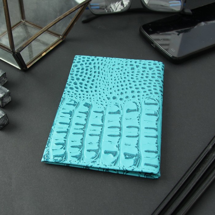 Обложка для автодокументов, светло-голубой