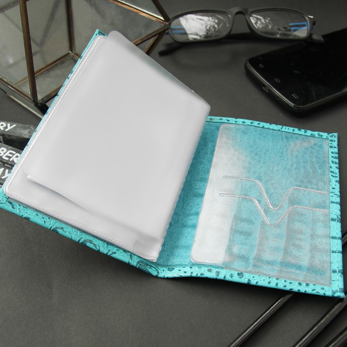 Обложка для автодокументов, светло-голубой