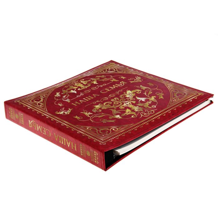 Фотоальбом в подарочной коробке "Наша семья", экокожа,20 магнитных листов