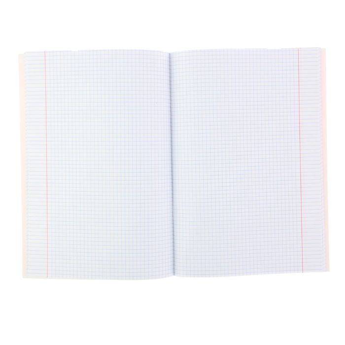 Тетрадь А4, 48 листов клетка Euro Style, матовая ламинация, выборочный лак