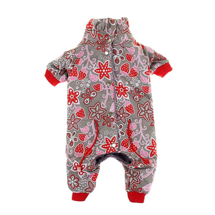 Комбинезон демисезонный "Клубничка", девочка, размер S (дс - 20 см, ог - 29-36 см, ош - 20-24 см)