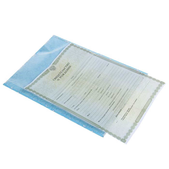 Папка для свидетельства о рождении "Котята и барашки", голубое, А5, ламинированная