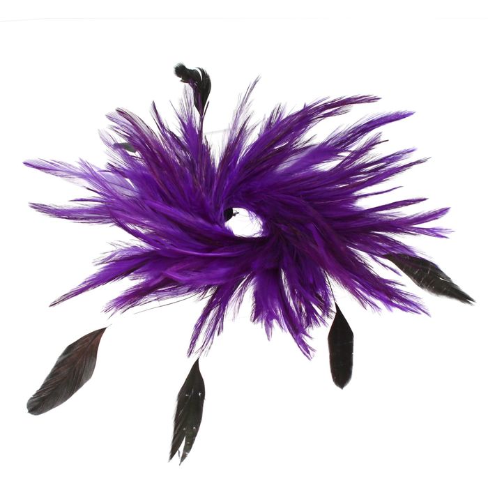Карнавальное перо, зажим + значок, цвет фиолетовый