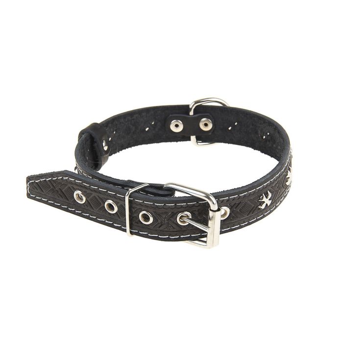 Ошейник кожаный тисненый однослойный, 60 х 3 см, украшеный, микс цветов